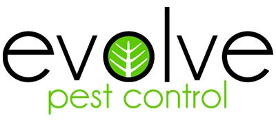 evolve pest control mesquite|evolve pest control near me.